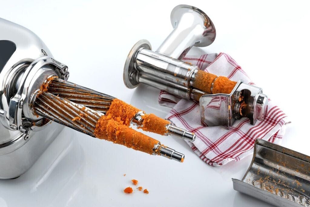 Angel Juicer 5500